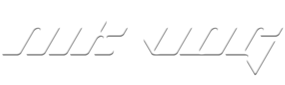 Nik Portfolio Logo